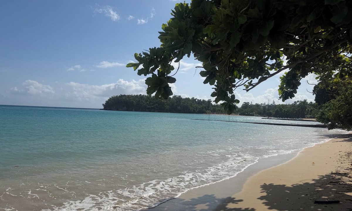 Ocho Rios Hotel | Shaw Park Beach Hotel at Sunny Beach Inn
