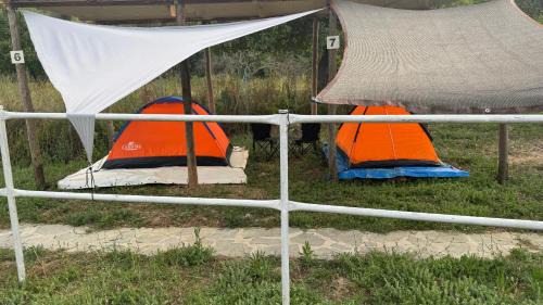 Benitses House | StNicholas Ranch Corfu Wild Camping 2