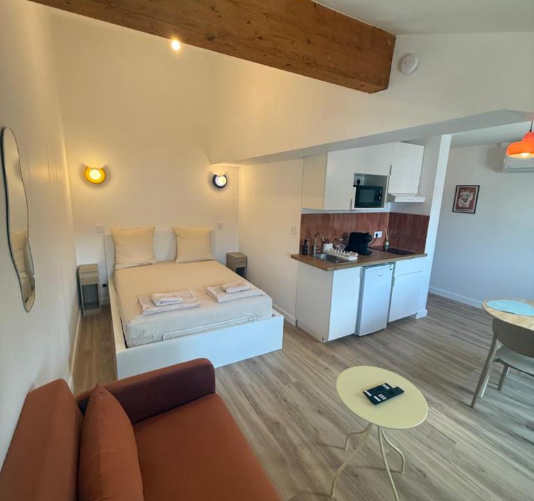 La Verpilliere Apartment | Studio Ô Maé Climatisé proche Village Outlet - Aéroport