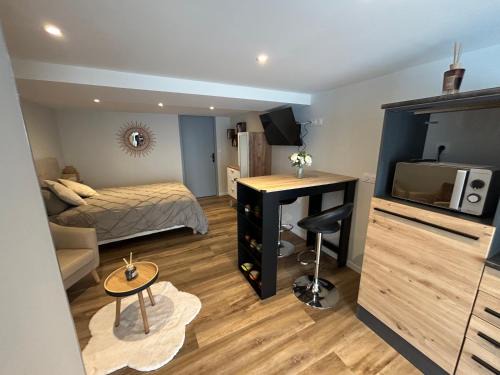 Villargondran Apartment | Studio aux pieds des stations, vélos, motos et rando