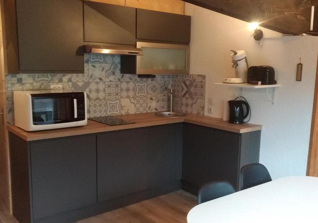 La Chapelle-d'Abondance Apartment | Studio cosy proche des pistes, parking inclus, animaux acceptés - FR-1-692-52