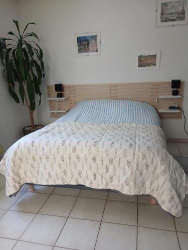 Castres Apartment | Studio Tranquille