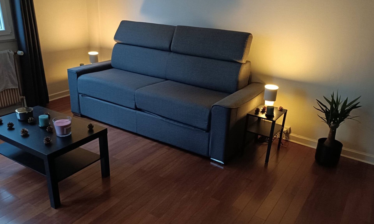 Richard Vitton - Chambovet Apartment | Superb studio in Lyon 3 with sofa bed 160x200 cm bedroom and balcony