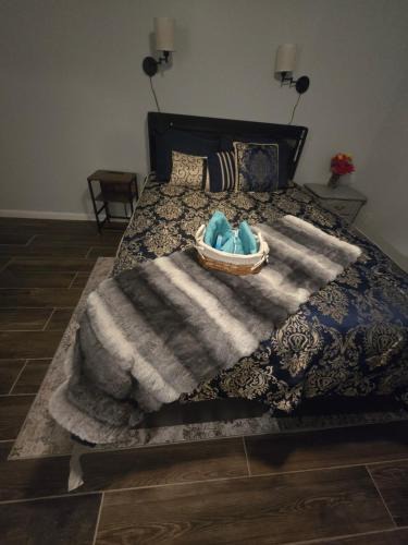 Lakeland House | The Blue orlampa house