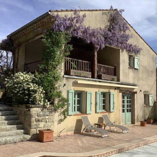 Castres House | The Courtyard