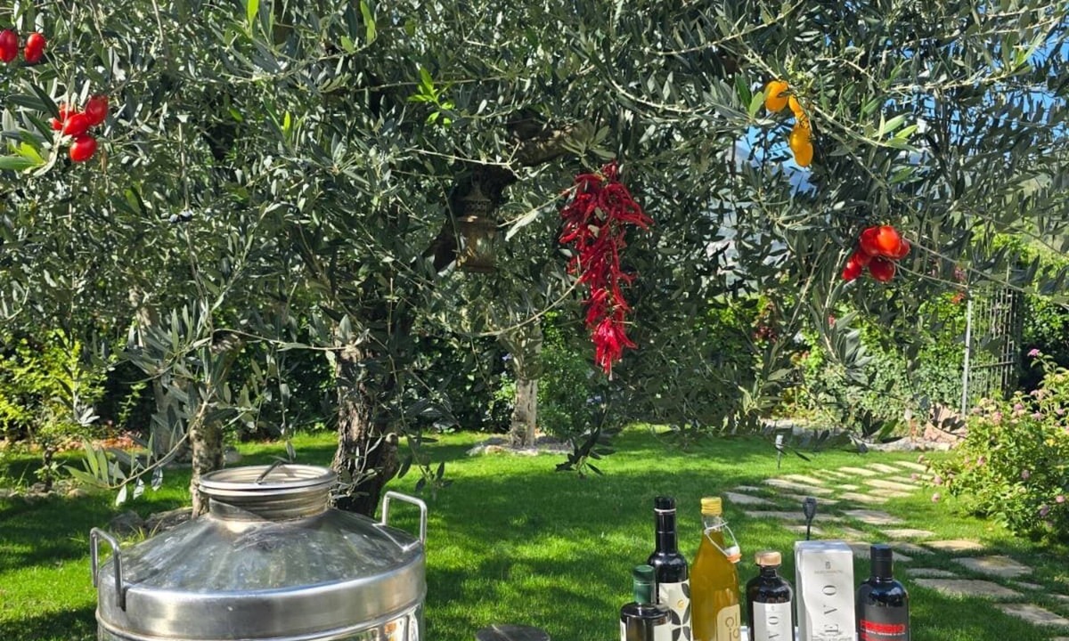 Campinola Bed & Breakfast | Tramonti Divini Amalfi Country House