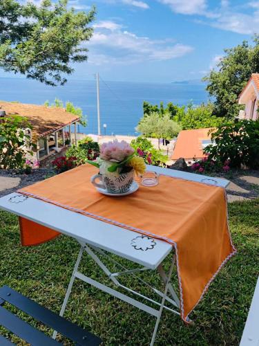 Marina di Maratea Bed & Breakfast | Villa Alessandra