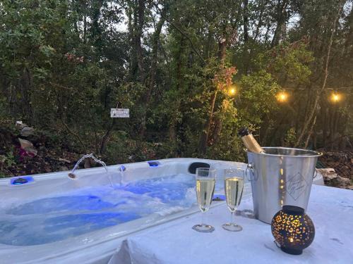 Le Luc Villa | Villa climatisée, Piscine, Spa, jardin 4500 m2 dans la foret