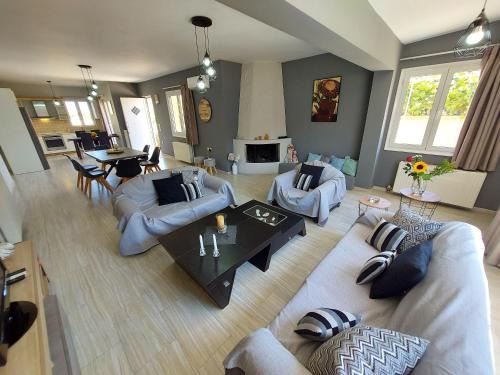 Pigianos Kampos House | Villa mariva - Detached House