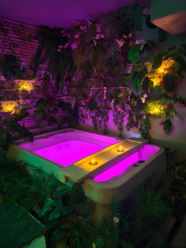 Lamalou-les-Bains Apartment | Villa Oasis - Love Room avec Spa Privatif, Massages & Autres Appartements Standards à thèmes sans spa