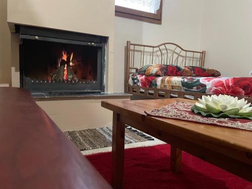 Elassona House | Villa Olympus