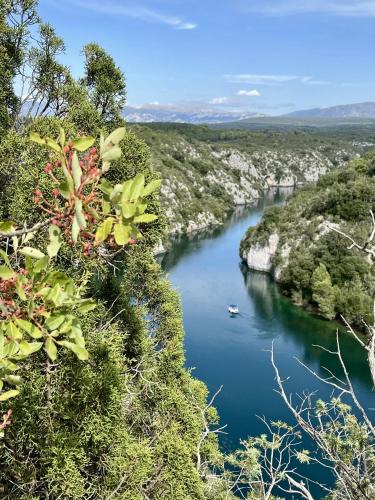 Saint-Laurent-du-Verdon Other | ZEcamping 3 étoiles pet friendly et piscine avec accès direct à un lac