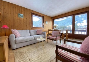 1st floor, view open, tv, ski locker, 41m², Praz sur Arly