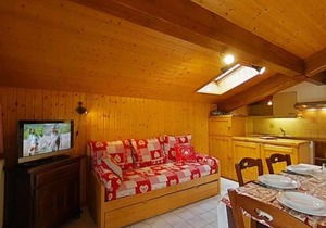 Appartement ensoleillé 2 étoiles, 6 couchages, proche pistes, balcon sud, navette ski - FR-1-241-94