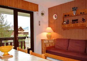 Floor -1, balcony, fireplace or stove, parking, tv, ski locker, 30m², Le Grand Bornand