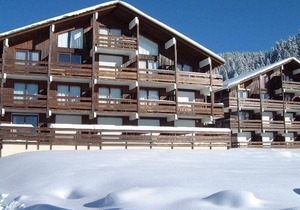 Studio cabin in Les Saisies, south facing, pets allowed