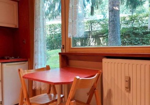 Studio rénové 16m2, terrasse, animaux admis, parking, près télécabine Brévent - FR-1-517-3