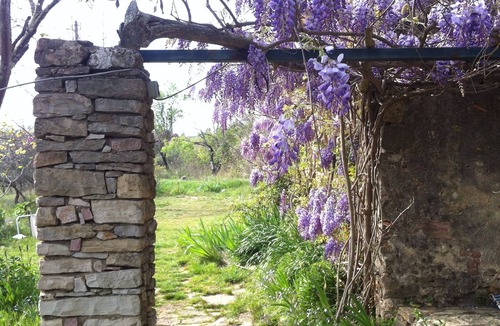 Entrecasteaux House | 17th Century Provencal Farm House