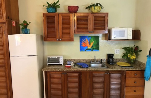 Colonia Adolfo Lopez Mateos Condo | 1BR/1Bath-79/Nite! IRONMAN Competitors, Winter Snowbirds, Summer Trips Welcome!