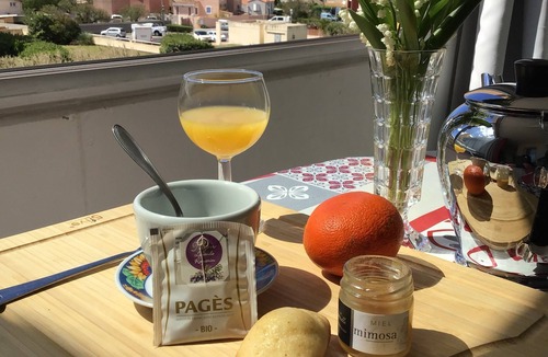 Frontignan Apartment | 2*-rated haven of peace at the port of Frontignan