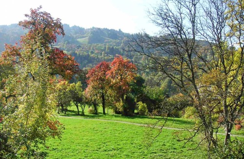 Saint-Gervais-les-Bains Apartment | 35 m² Apartment ∙ 2 bedrooms ∙ 4 guests