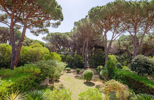 Sainte-Maxime Apartment | 40 m² Apartment ∙ 1 bedroom ∙ 4 guests