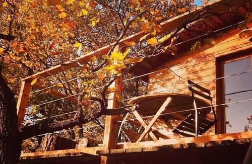 Barjols Cabin | A sweet week in a tree house in Provence