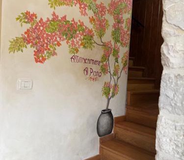 Trivento House | Affittacamere Al Piano