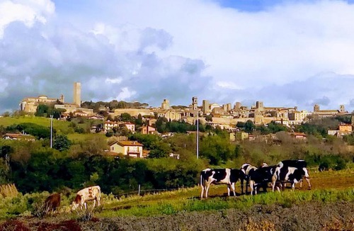 Tarquinia House | Agriturismo Il Poderino