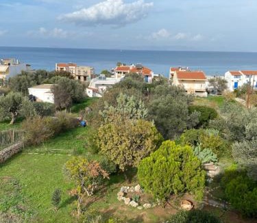 Scala House | Aiolos