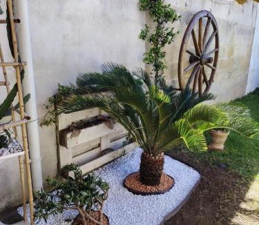 Acquarica Bed & Breakfast | Aira Te Finu
