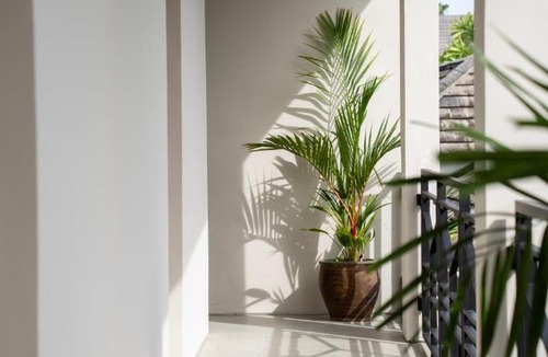 Petitenget Hotel | Anam Mani New Room Central Seminyak
