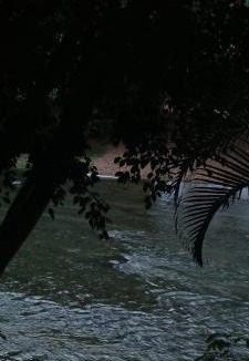 Jarabacoa House | Ananda