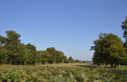 Sarzay House | Ancienne ferme rénovée au cœur de la Vallée Noire avec jardin clos, vélos et équipements complets - FR-1-591-111