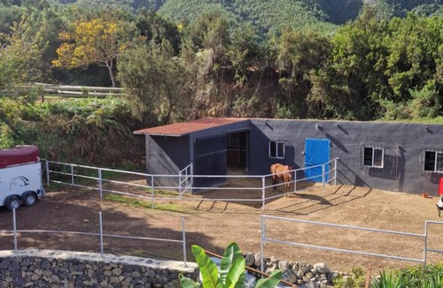 Los Realejos Apartment | Apartament on the edge of the Teide National Park