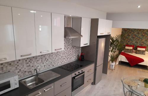 La Guancha Apartment | APARTAMENTO LA CRUCILLADA