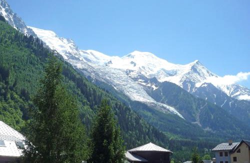 Chamonix City Centre Apartment | Apartment Le Grépon-1 by Interhome