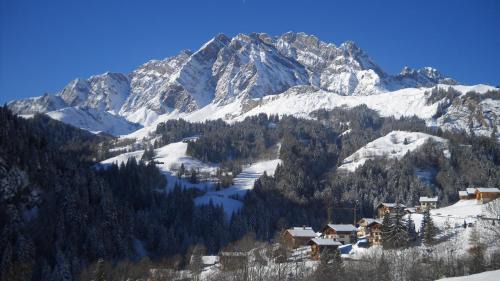 La Giettaz Apartment | Apartment Residence Les Alpages