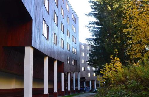 Arc-1800 Apartment | Appartement 2 pièces 6 personnes proche des pistes, des commerces, de la garderie et de l'ESF au centre de la station dArc 1800 dans le village des Villards - FR-1-411-635