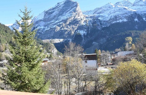 Pralognan-la-Vanoise Apartment | Appartement cosy proche commerces, animaux bienvenus, parking - FR-1-464-160