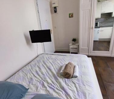 Chatel-Guyon Apartment | Appartement idéalement situé pour curiste