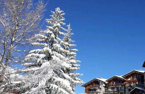 La Rosiere Apartment | Appartement spacieux, 8 pers, vue vallée, parking - FR-1-275-223