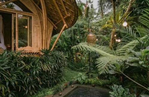 Selat Villa | Arcada Bali Bamboo House