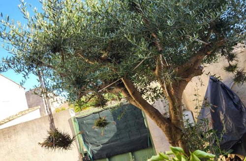 Caderousse Bed & Breakfast | Au 3 bis