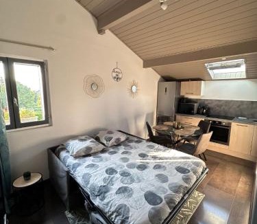 Allinges Apartment | Au calme, parking gratuit,proche centre Thonon les bains
