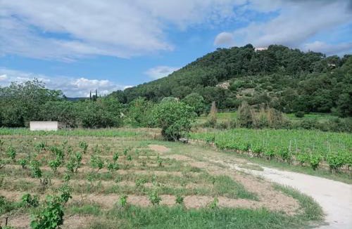 Le Castellet House | Au coeur des vignes