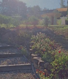 Cicerale Bed & Breakfast | B&B casa73
