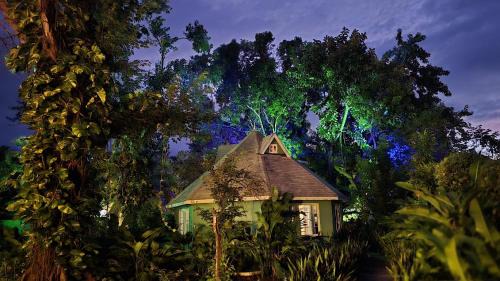 West End Cabin | Bak A Yaad