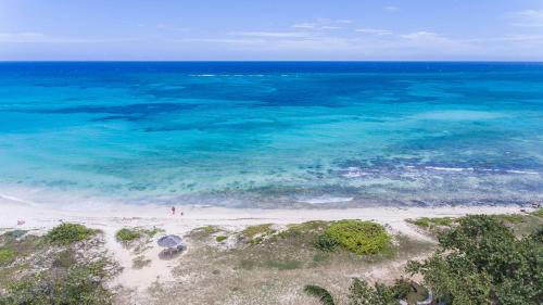 Silver Sands Villa | Beach Palms Villa