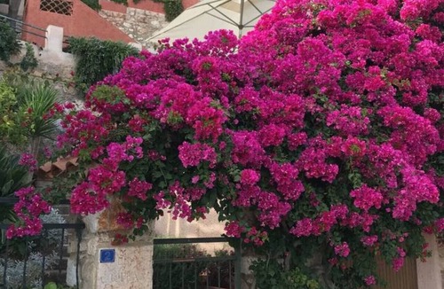 Villefranche-sur-Mer Villa | Beautiful Villa Francesca with sea view